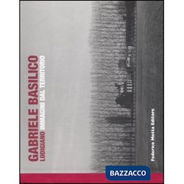 Lodigiano. Immagini dal territorio. Ediz. illustrata