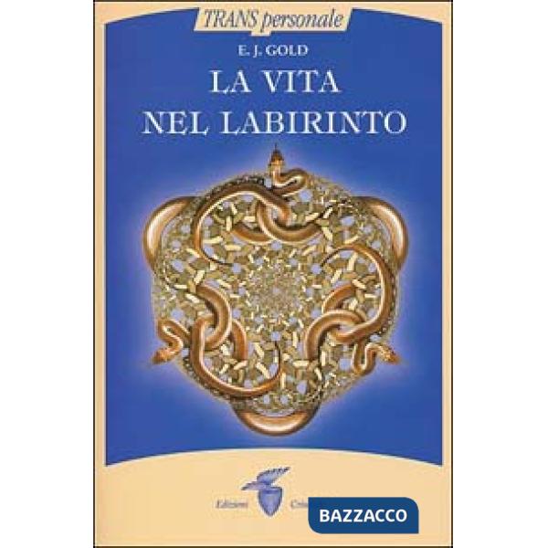 Vita nel labirinto (La)