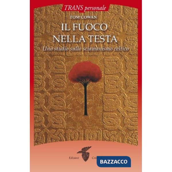 Fuoco nella testa (Il)