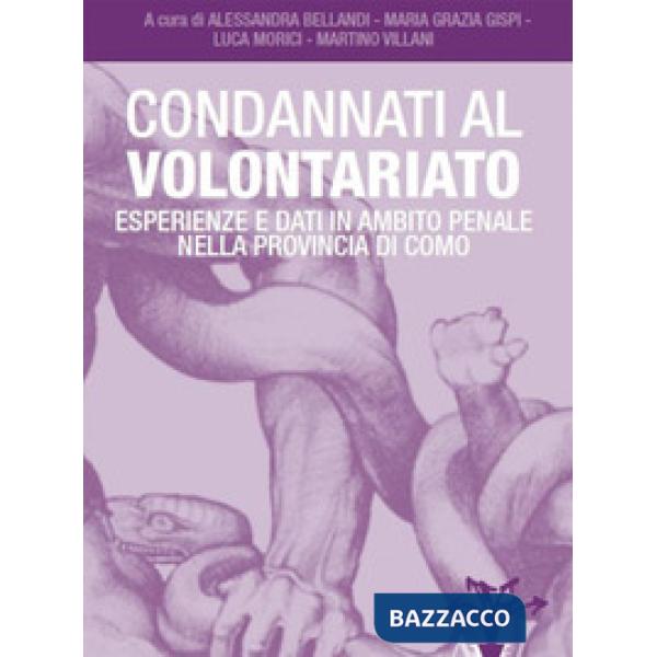 Condannati al volontariato. Esperienze e dati in ambito penale nella provincia di Como