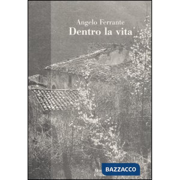 Dentro la vita
