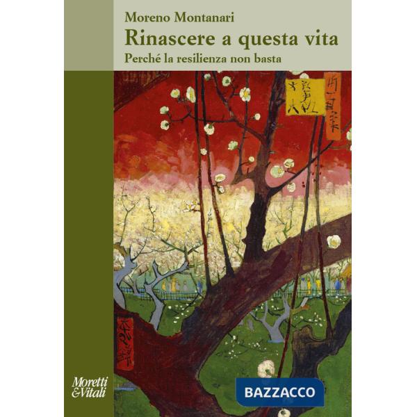 Rinascere a questa vita. Perché la resilienza non basta