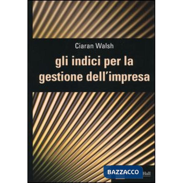 Indici per la gestione dell'impresa (Gli)