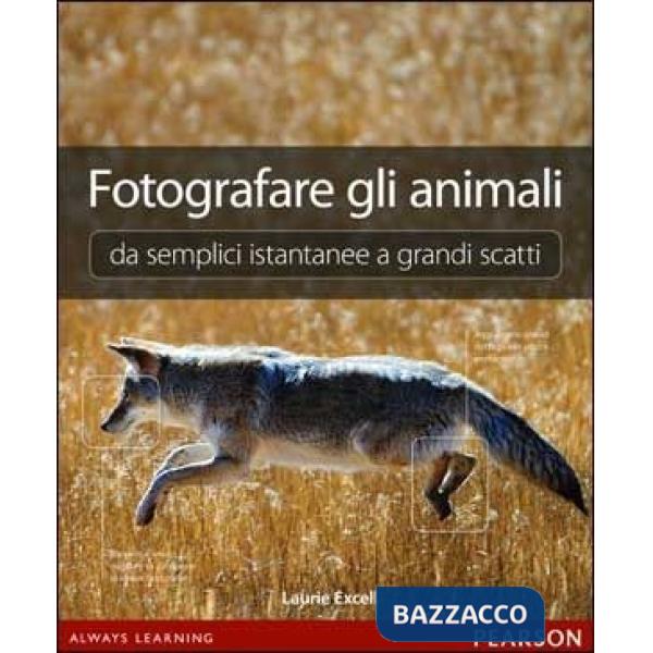 FOTOGRAFARE GLI ANIMALI DA SEMPLICI ISTANTANEE A GRANDI SCATTI