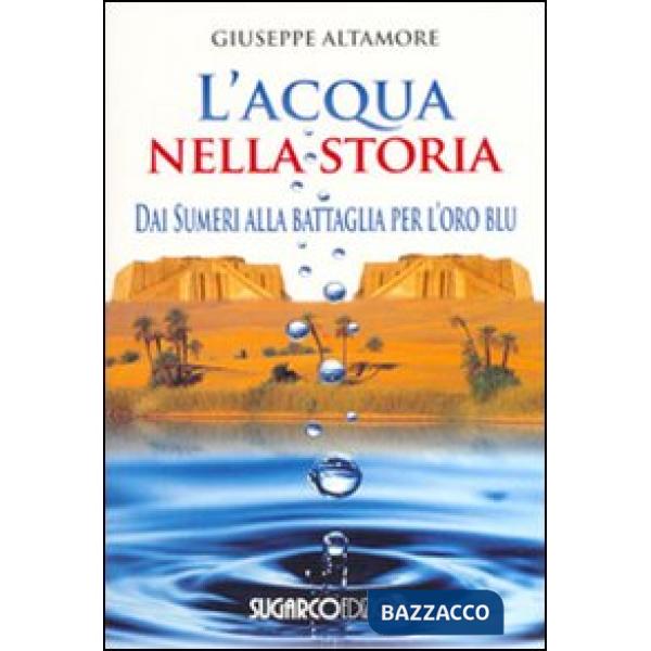 Acqua nella storia. Dai Sumeri alla battaglia per l'oro blu (L')