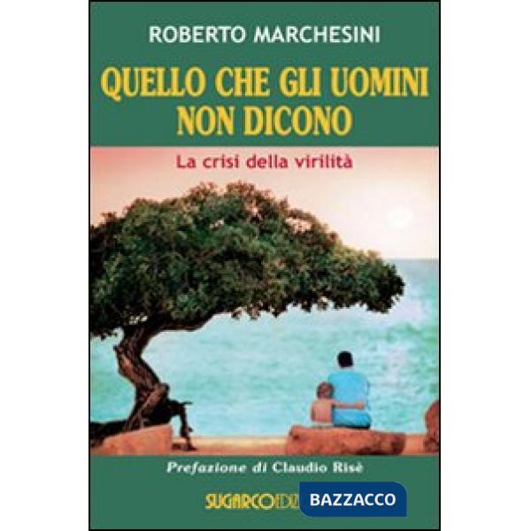 Quello che gli uomini non dicono. La crisi della virilità
