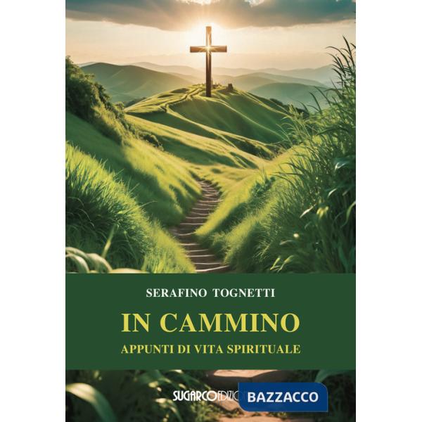 In cammino. Appunti di vita spirituale