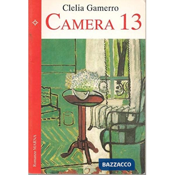 Camera 13