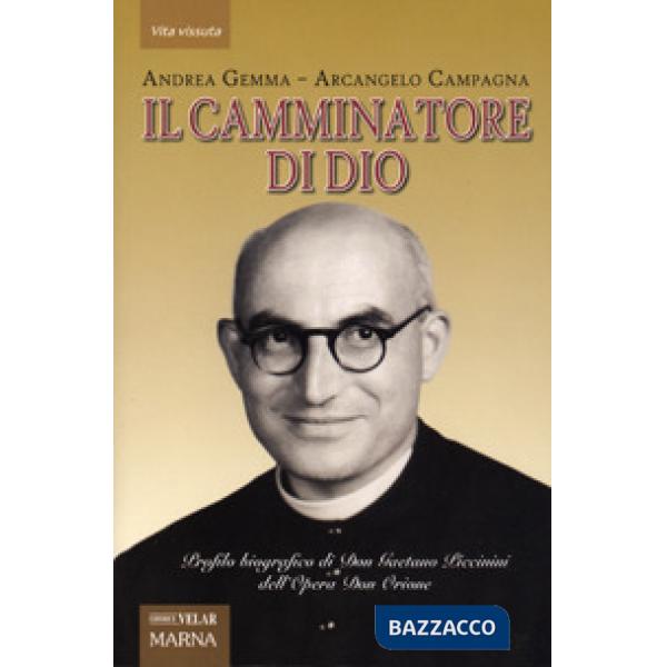 Camminatore di Dio. Profilo biografico di Don Gaetano Piccinini dell'Opera Don Orione (Il)