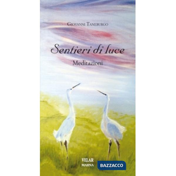 Sentieri di luce. Meditazioni
