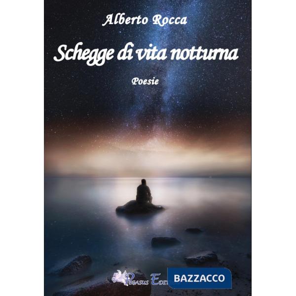 Schegge di vita notturna