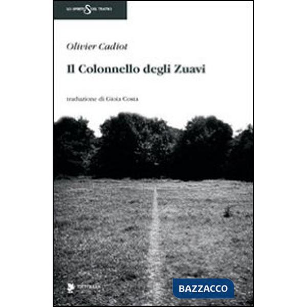 Colonnello degli zuavi (Il)