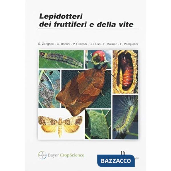 Lepidotteri dei fruttiferi e della vite