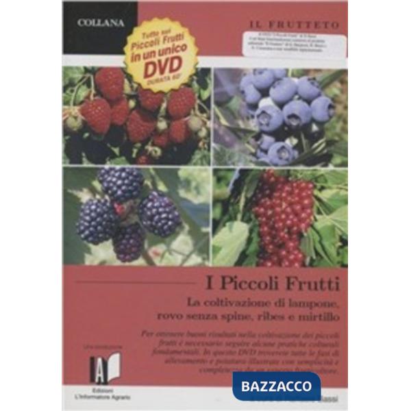 Frutteto. I piccoli frutti: lampone, ribes, mirtillo, rovo. Piccola guida pratica. Con DVD (Il)
