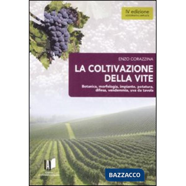 La coltivazione della vite