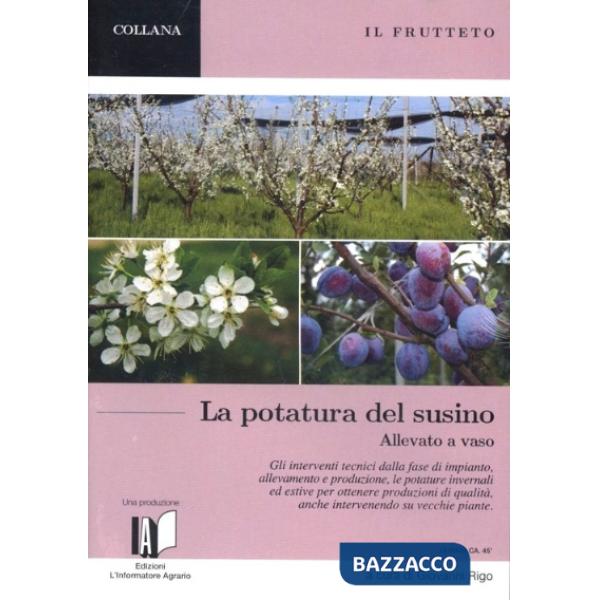 Frutteto. La potatura del susino allevato a vaso. Piccola guida pratica. Con DVD (Il)