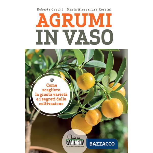 Agrumi in vaso