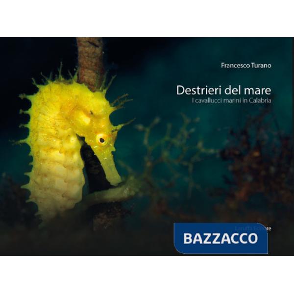 Destrieri del mare. I cavallucci marini in Calabria. Ediz. a colori