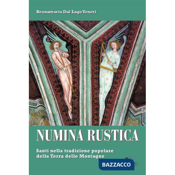 Numina rustica. Santi nella tradizione popolare della terra delle montagne