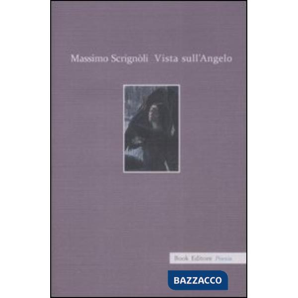 Vista sull'angelo. Racconto in versi