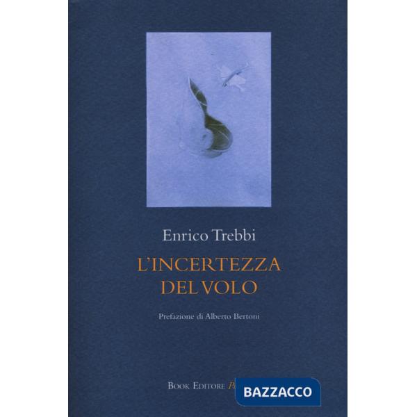 Incertezza del volo (L')