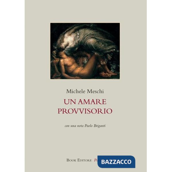 Amare provvisorio (Un)