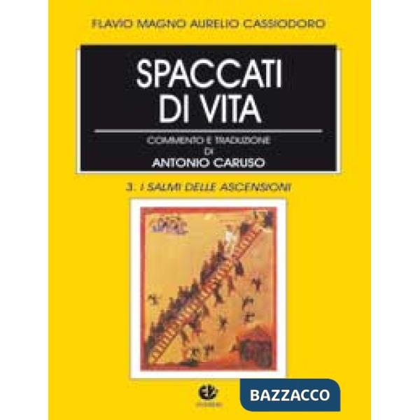 Spaccati di vita. Vol. 3: I salmi delle ascensioni