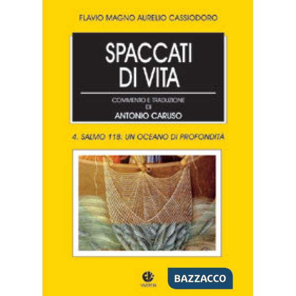 Spaccati di vita. Vol. 4: Un oceano do profondità