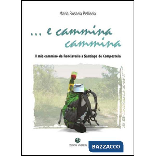 E cammina cammina. Il mio cammino da Roncisvalle a Santiago de Compostela