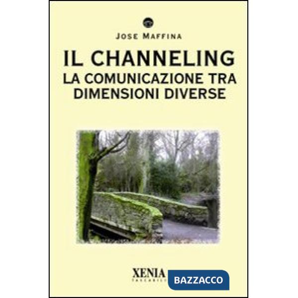 Channeling. La comunicazione tra dimensioni diverse (Il)