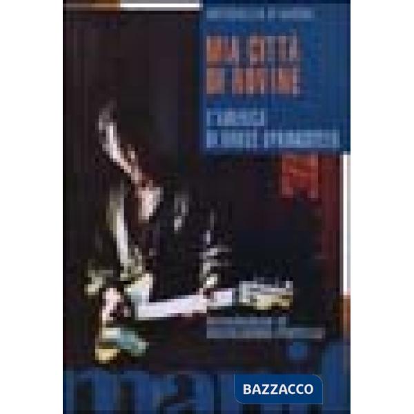 Mia città di rovine. L'America di Bruce Springsteen