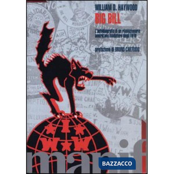 Big Bill. L'autobiografia di un rivoluzionario americano degli IWW