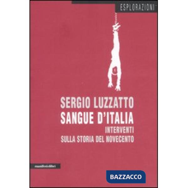 Sangue d'Italia. Interventi sulla storia del Novecento