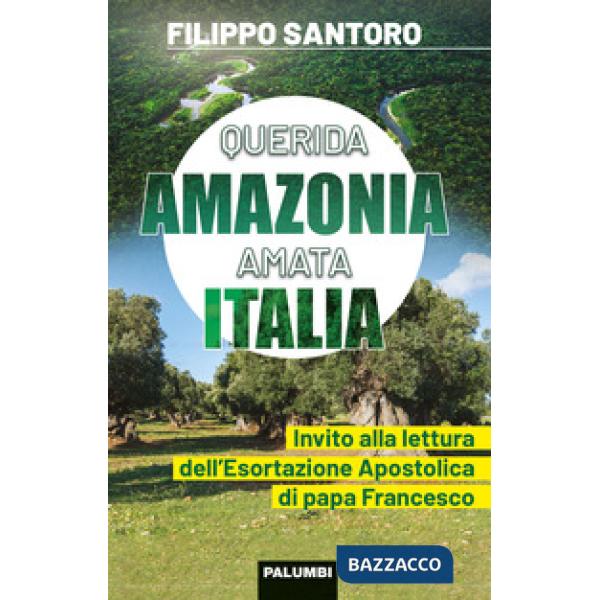 Querida Amazonia amata Italia. Invito alla lettura dell'Esortazione Apostolica di papa Francesco