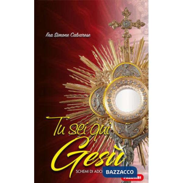 Tu sei qui Gesù. Schemi di adorazione