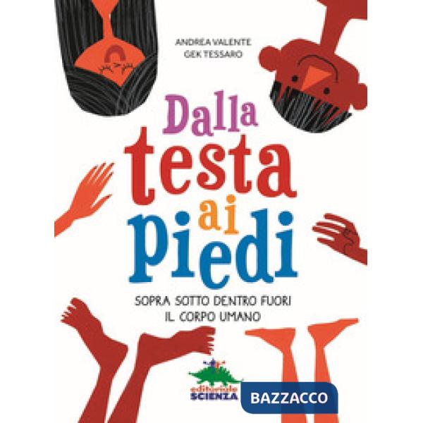 Dalla testa ai piedi. Sopra sotto dentro fuori il corpo umano