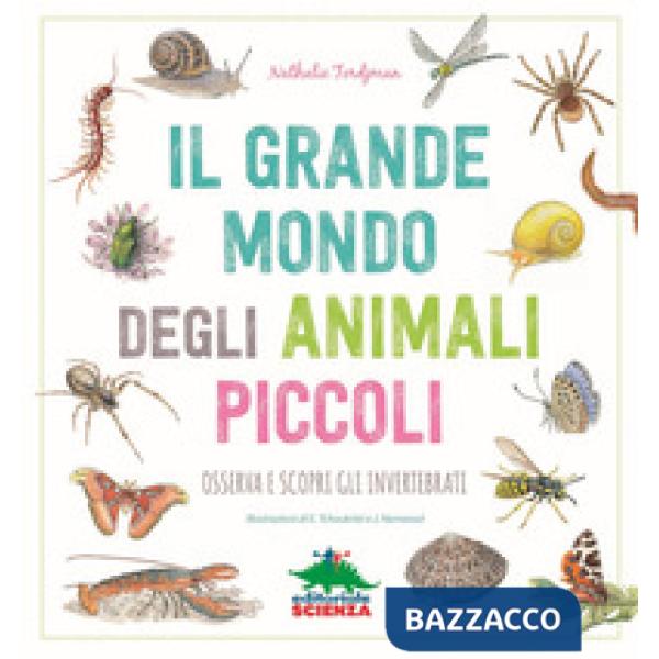 Grande mondo degli animali piccoli. Osserva e scopri gli invertebrati (Il)