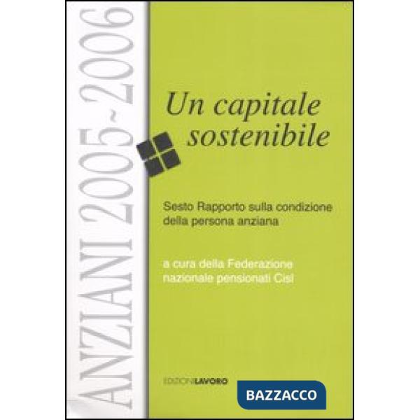 Anziani 2005-2006. Un capitale sostenibile. Sesto rapporto sulla condizione della persona anziana
