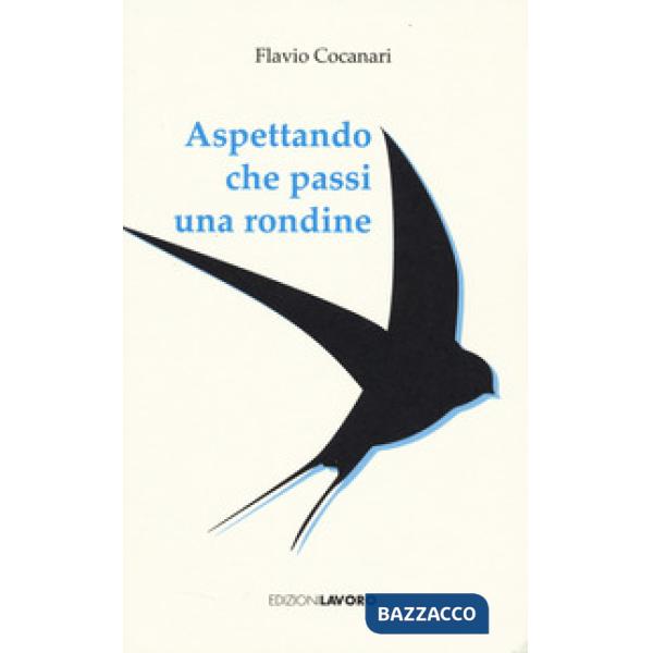 Aspettando che passi una rondine