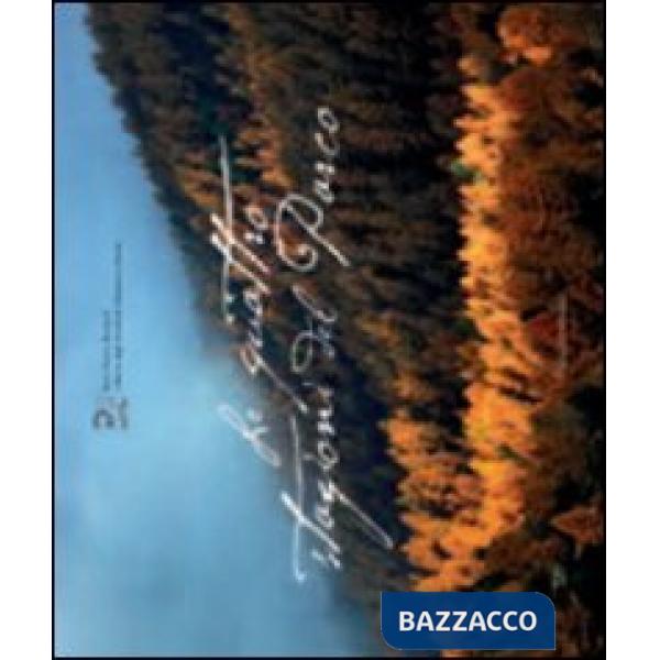 Quattro stagioni del parco. Ediz. illustrata (Le)