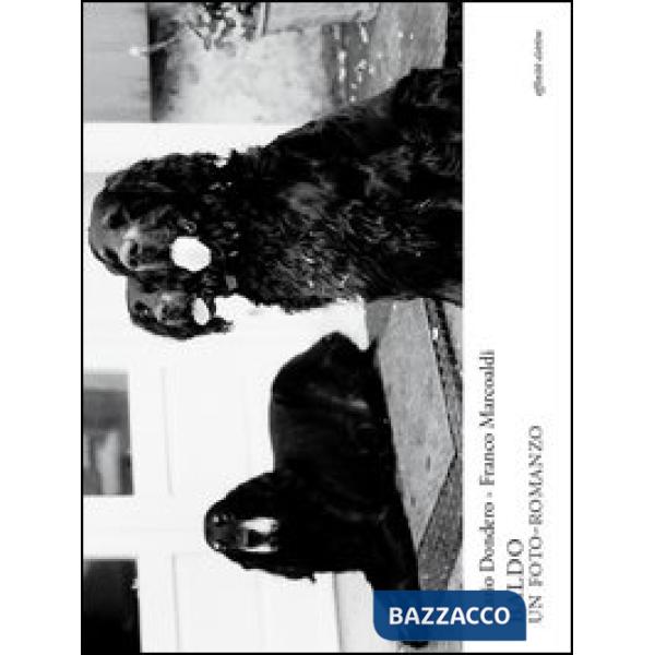 Baldo, un foto-romanzo. Ediz. illustrata