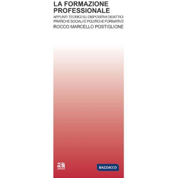 Formazione professionale. Appunti teorici su dispositivi didattici, pratiche sociali e politiche formative (La)