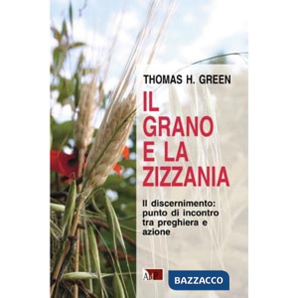 Grano e la zizzania. Il discernimento: punto di incontro tra preghiera e azione (Il)
