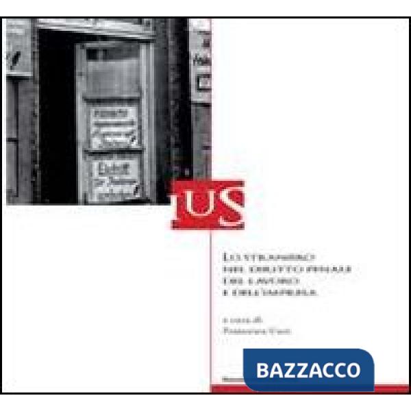 Straniero nel diritto penale del lavoro e dell'impresa (Lo)