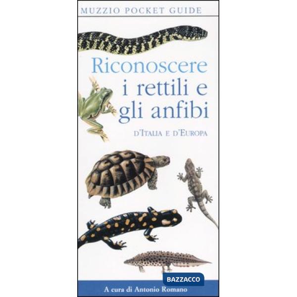 Riconoscere i rettili e gli anfibi d'Italia e d'Europa