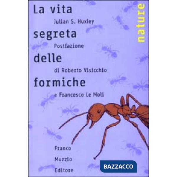 Vita segreta delle formiche (La)