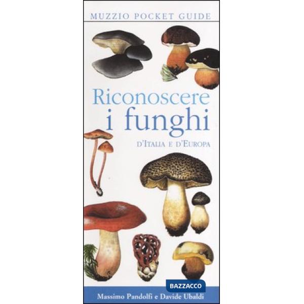 Riconoscere i funghi d'Italia e d'Europa