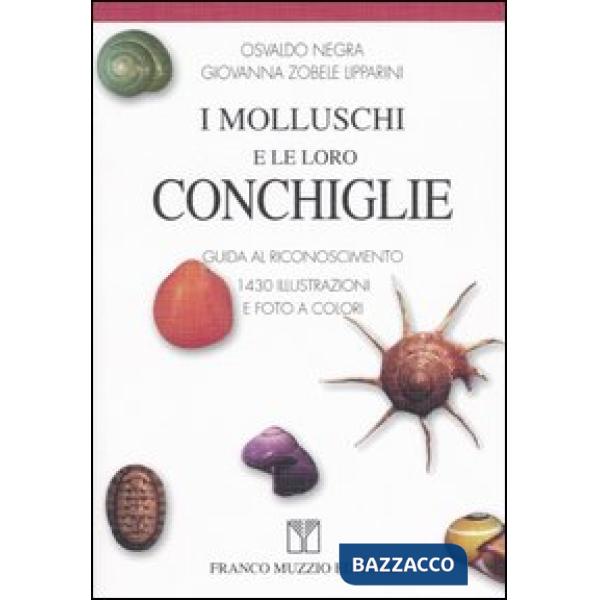 Molluschi e le loro conchiglie. Guida al riconoscimento (I)