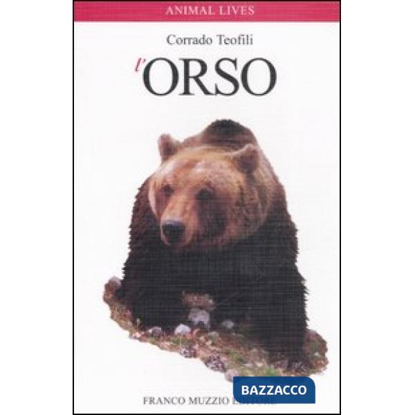 Orso (L')