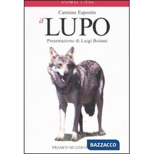 Lupo. Ediz. illustrata (Il)